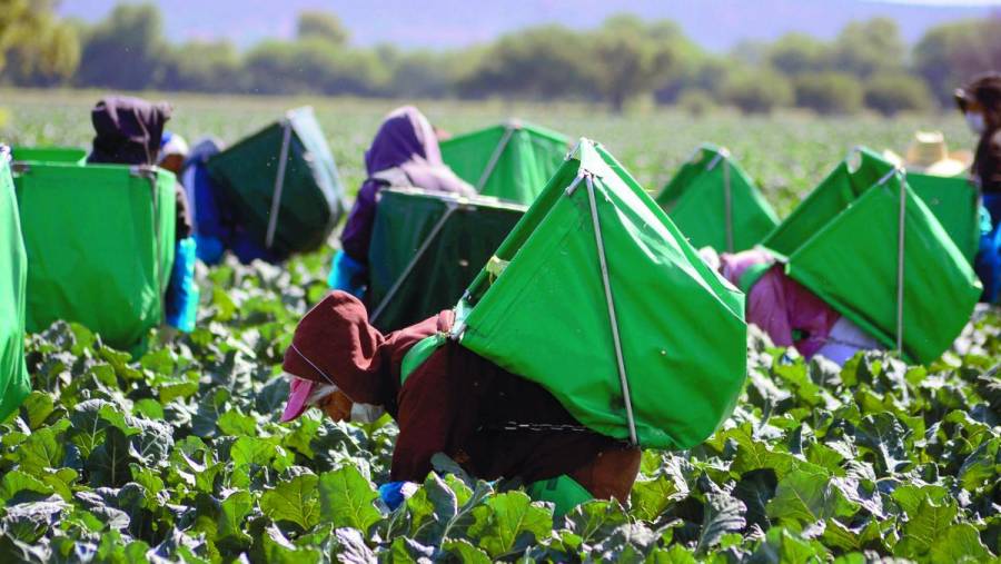 Suben 2.96% los precios a productores durante octubre