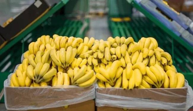 EE. UU. firma acuerdos comerciales con Argentina, Ecuador, El Salvador y Guatemala para abaratar café y bananas