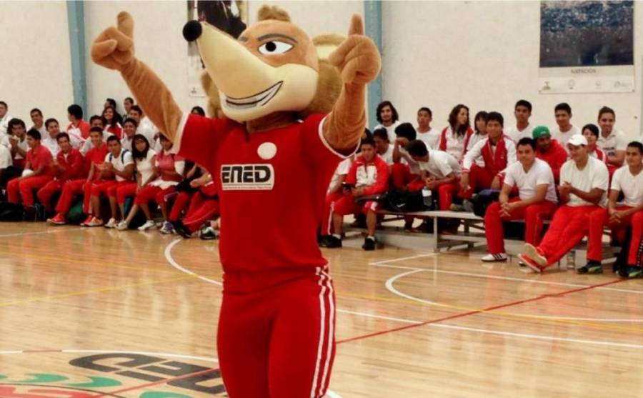 ENED reactiva selecciones deportivas y regresa a competencias regionales y nacionales