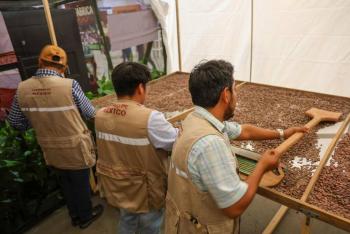 Sheinbaum anuncia construcci&oacute;n de planta procesadora de cacao en Tabasco con el programa Chocolate Bienestar