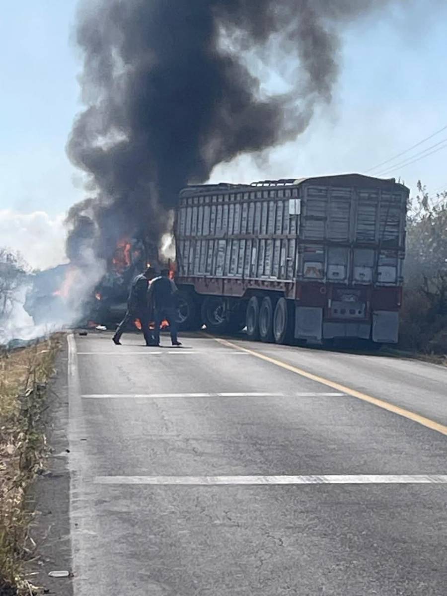 Narcobloqueos en Michoac&aacute;n fueron respuesta a operativo federal, explica Sheinbaum