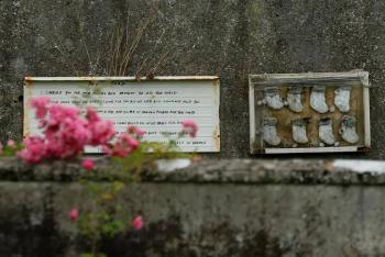 Irlanda inicia excavaci&oacute;n para recuperar restos de casi 800 beb&eacute;s en antiguo hogar para madres solteras