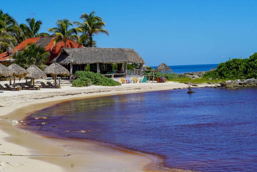 Profeco suspende hoteles y tiendas en Tulum por precios exagerados
