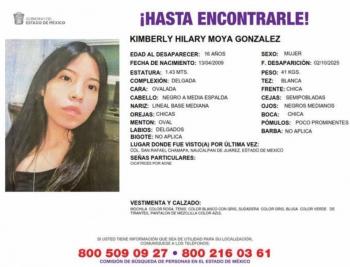 Sin rastro ni avances en casos de j&oacute;venes desaparecidos en Edomex
