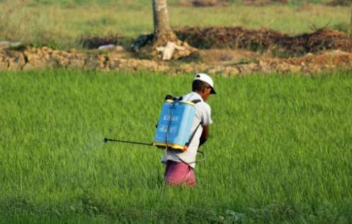 Pesticidas y otros contaminantes qu&iacute;micos comunes son t&oacute;xicos para nuestras bacterias