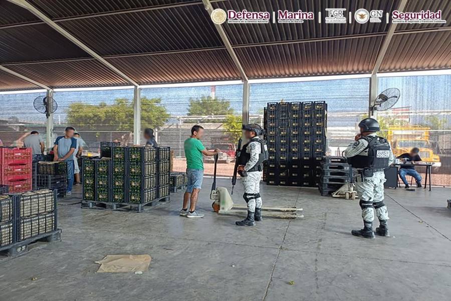 Detienen a 10 personas y aseguran armas y drogas en operativo del “Plan Michoacán por la Paz y la Justicia”
