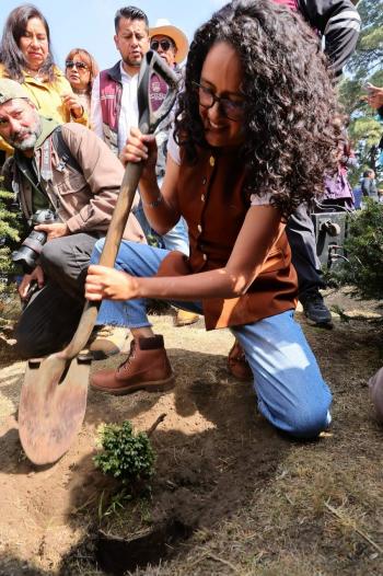 Gobierno de CDMX inicia temporada navide&ntilde;a con corte simb&oacute;lico de &aacute;rbol y compromiso ambiental