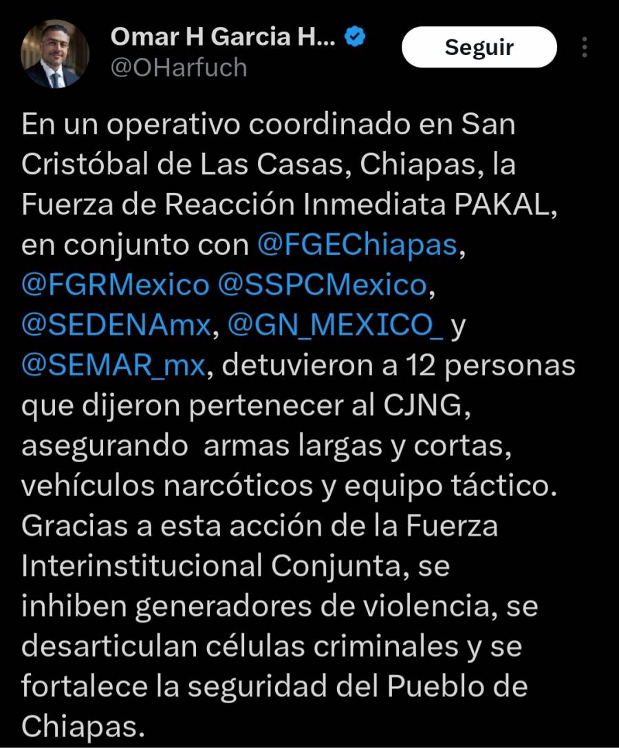 Aseguran a 12 personas señaladas por presunta actividad delictiva en operativo conjunto en Chiapas