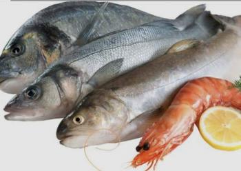 Propone diputada medidas para evitar el sufrimiento de peces destinados al consumo humano