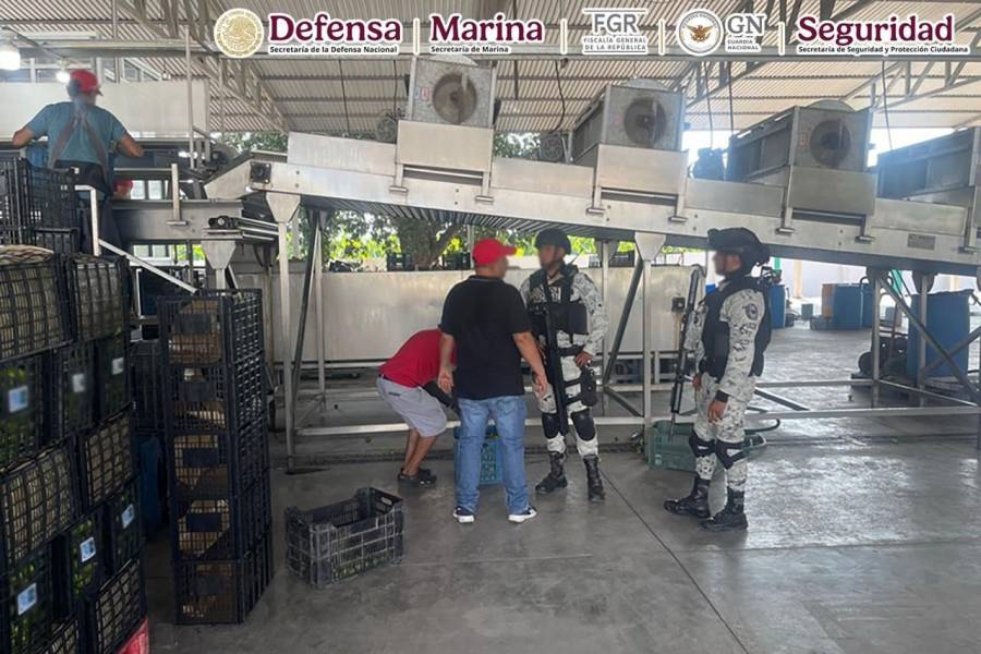 Detienen a 28 personas y aseguran explosivos improvisados en Michoacán