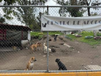 Refugio Franciscano denuncia que desalojo en Santa Fe responde a proyecto inmobiliario; m&aacute;s de mil animales afectados