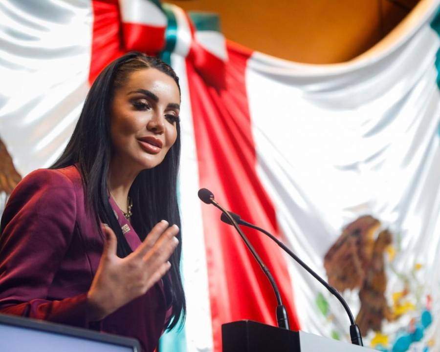 Morena garantiza an&aacute;lisis amplio e incluyente de la reforma electoral, afirma Gabriela Jim&eacute;nez