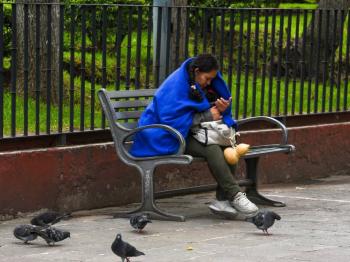 Ambiente fr&iacute;o por la ma&ntilde;ana y tarde templada este martes en la CDMX