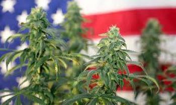 Proponen reclasificar marihuana como droga menos peligrosa