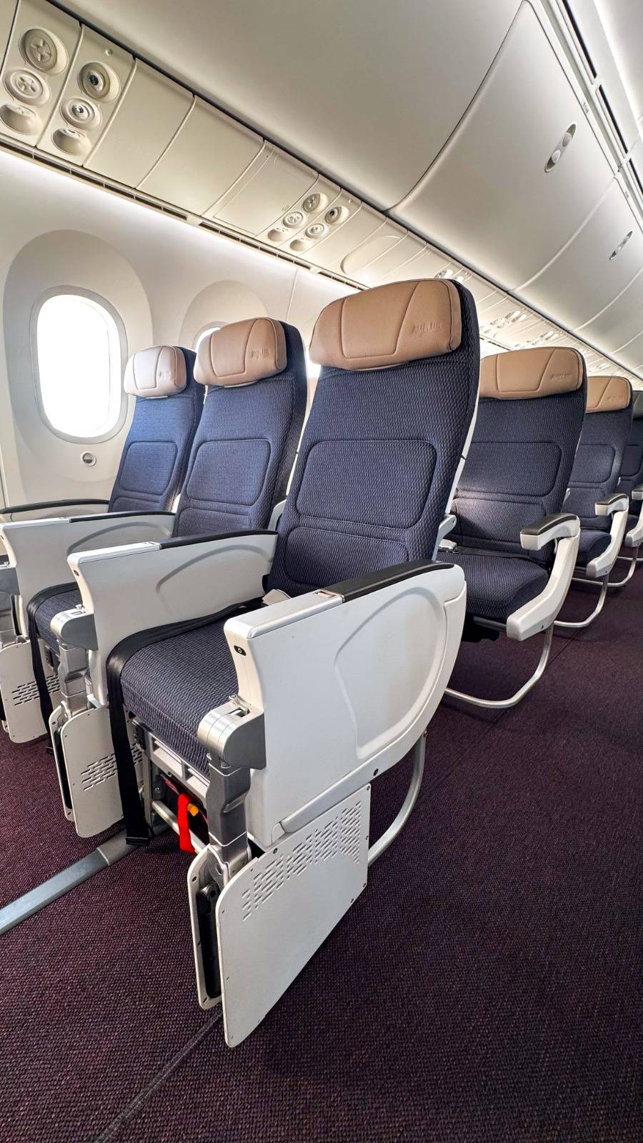 Aerom&eacute;xico recibe reconocimiento internacional por su regreso a los mercados financieros
