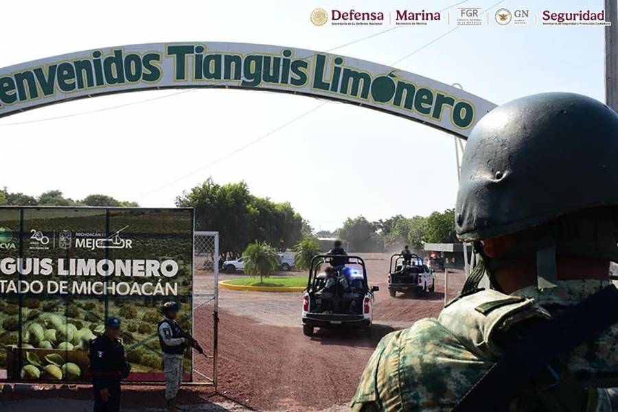 Operativo federal en Michoacán deja cinco detenidos y el decomiso de armas, cartuchos y explosivos