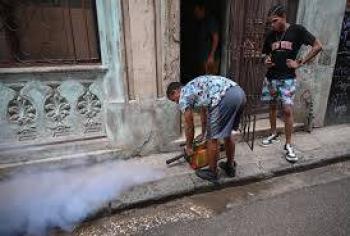 Reportan m&aacute;s de 50 muertos en Cuba por dengue y chikungu&ntilde;a