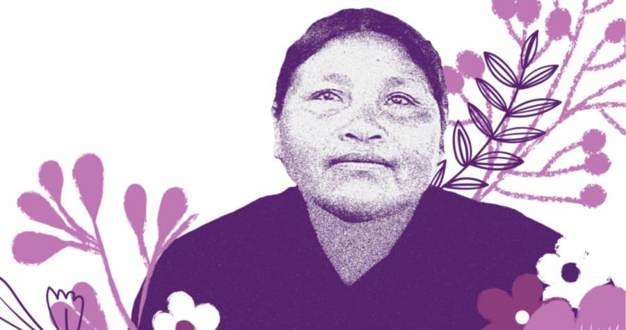 México reconoce responsabilidad en caso Ernestina Ascencio ante la Corte Interamericana