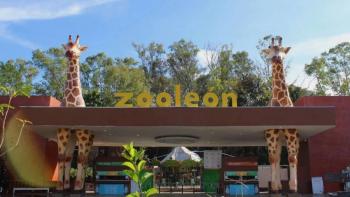 Cierran temporalmente el Zool&oacute;gico de Le&oacute;n para proteger a los animales