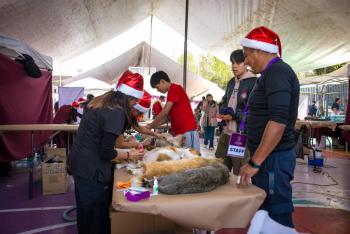 Tlalpan refuerza su pol&iacute;tica de bienestar animal con m&aacute;s de 30 mil atenciones veterinarias en 2025