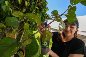 5 plantas de interior resistentes y f&aacute;ciles de cuidar para principiantes