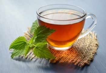 La gu&iacute;a del t&eacute;: diferencias entre verde, negro, blanco y rojo