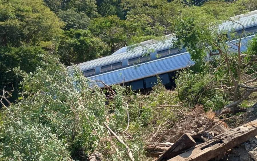 Tren Interoceánico se descarrila en Oaxaca con 241 pasajeros