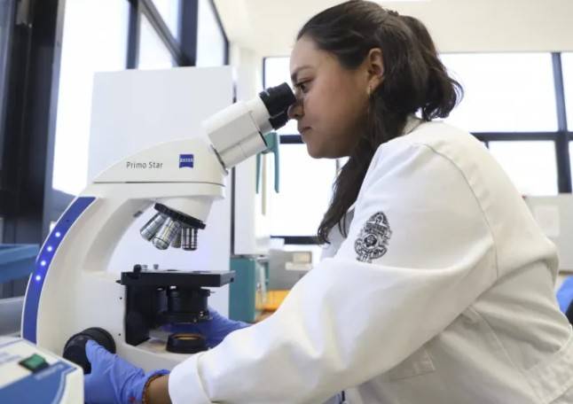 UAQ investiga potencial del garambullo en la prevenci&oacute;n del c&aacute;ncer de colon