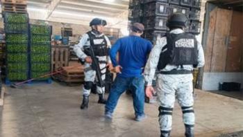 Operativo del Plan Michoac&aacute;n deja nueve detenidos y refuerza vigilancia en zonas aguacateras
