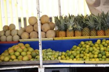 Frutas y verduras de las gu&iacute;as alimentarias saludables seg&uacute;n la &eacute;poca del a&ntilde;o