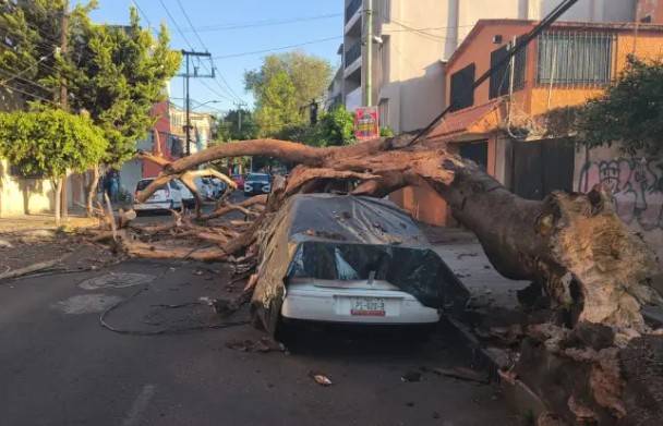 Prevenir y mantener la calma: las claves para actuar durante un sismo