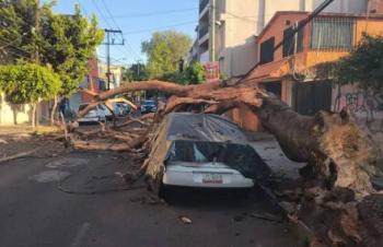 Prevenir y mantener la calma: las claves para actuar durante un sismo