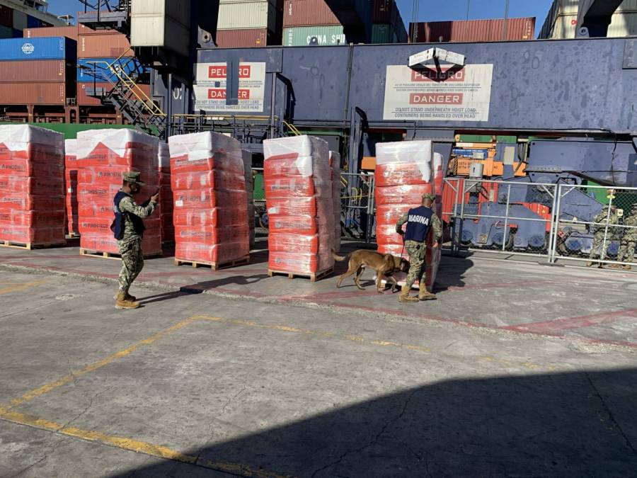 Binomio canino localiza arsenal y droga en centro de paqueter&iacute;a de Salamanca