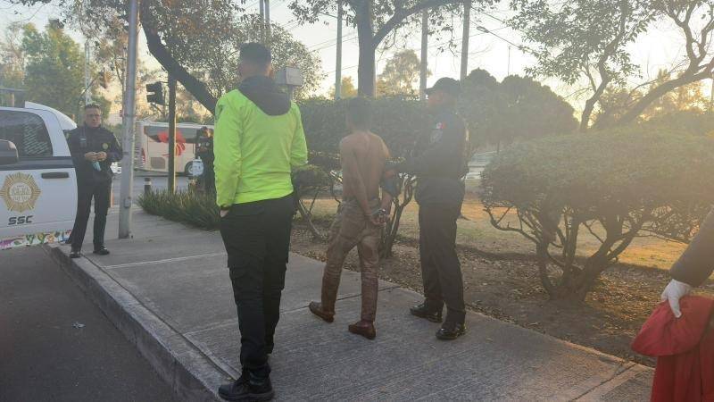 Detienen a hombre por matar y desollar a dos perros en Gustavo A. Madero