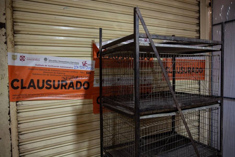 Entregan apoyo económico a locatarios del Mercado de Sonora tras prohibición de venta de animales