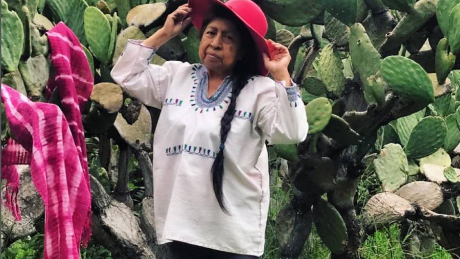Catalina Yolanda López Márquez recibe Premio Nacional de Artes y Literatura 2025 por rescate de la grana cochinilla