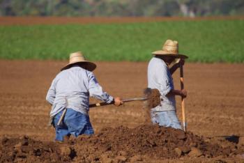 Crecer&aacute; la informalidad, ante la dificultad de listar nuevos patrones y mantener activos a los que ya existen