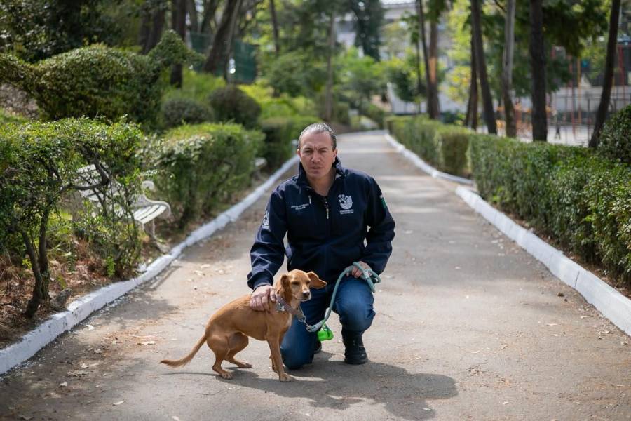 Carlos Orva&ntilde;anos rechaza desarrollo inmobiliario en predio del Refugio Franciscano de Cuajimalpa; no dar&aacute; permisos