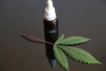 M&eacute;dicos en M&eacute;xico integran CBD en terapias digestivas y de control de peso