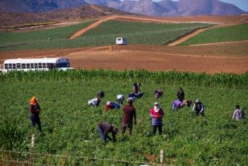 Gobierno federal impulsa plan de justicia laboral para jornaleros de San Quint&iacute;n