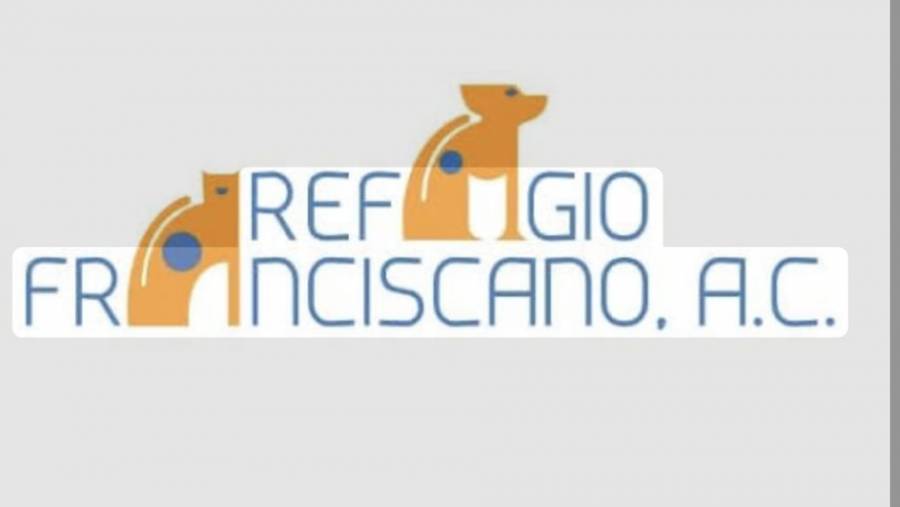MC exige transparencia en incursión del GCDMX en refugio franciscano; advierte vacío legal en protección animal