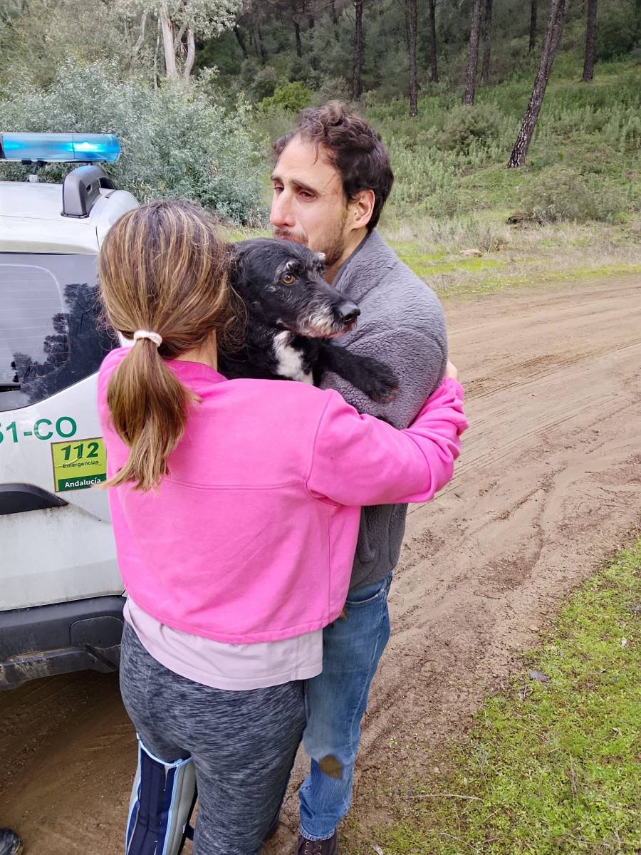 Boro, el perro perdido en accidente ferroviario en España, es localizado con vida