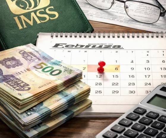 IMSS cambia fecha de pago de pensiones para febrero de 2026 por feriado constitucional