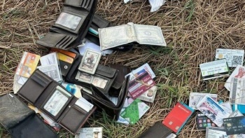 Hallan credenciales y tarjetas bancarias abandonadas en carretera del norte