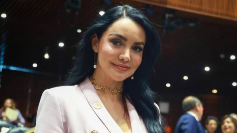 Reformas de Morena refuerzan política fiscal y combaten la evasión: Gabriela Jiménez