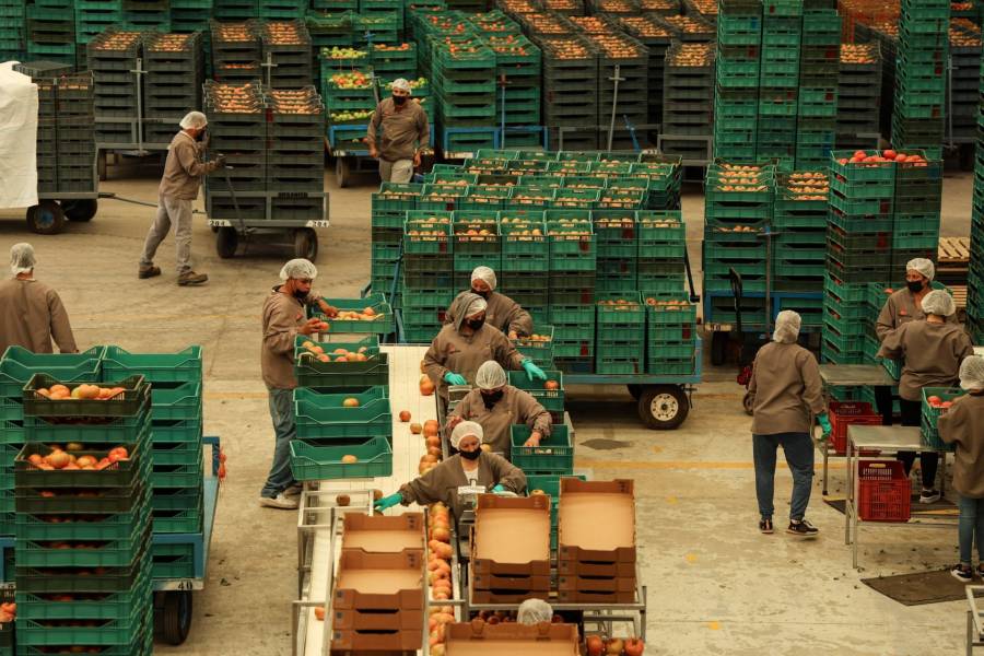 México cierra 2025 con exportaciones récord de 664 mil 837.2 millones de dólares