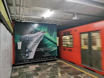 CDMX registr&oacute; 493 suicidios en 2025 y se ubic&oacute; como la cuarta entidad con m&aacute;s casos en el pa&iacute;s