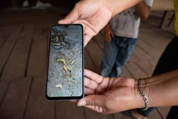 Detectan caso sospechoso de gusano barrenador en un hombre de Copala, Guerrero