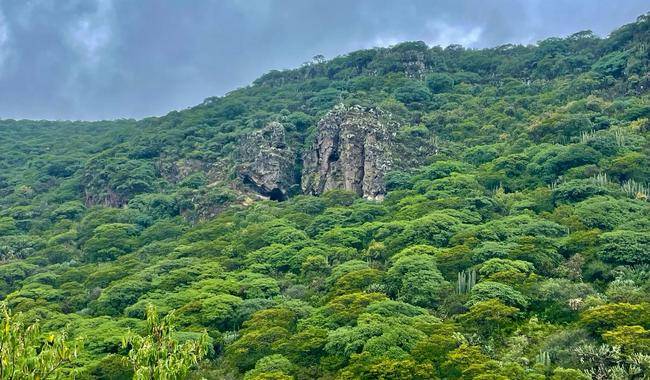 Busca Sedesu incorporar 2 mil hect&aacute;reas de &Aacute;rea Natural Protegida en Cadereyta