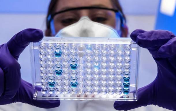 Nipah reaparece en India, pero la ciencia enfr&iacute;a la alarma global